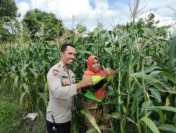 Polri dan Masyarakat Desa Labuapi Kolaborasi Jaga Kamtibmas dan Produktivitas Pangan