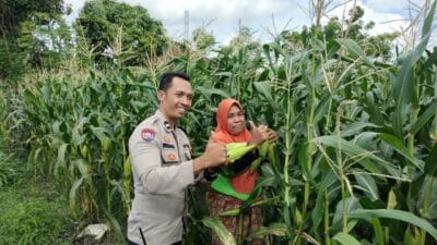 Polri dan Masyarakat Desa Labuapi Kolaborasi Jaga Kamtibmas dan Produktivitas Pangan