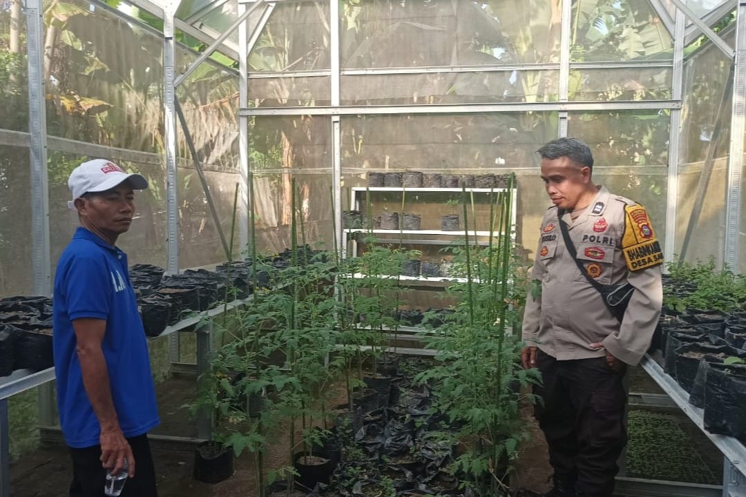 Sinergi Polsek Batulayar dan Warga untuk Pangan Mandiri