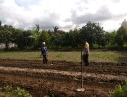 Dukung Pangan Nasional, Polisi Aktif Dampingi Petani Kediri