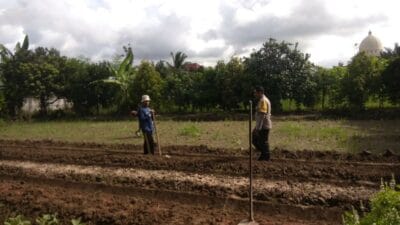 Dukung Pangan Nasional, Polisi Aktif Dampingi Petani Kediri