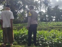 Bhabinkamtibmas Mareje Dorong Kemandirian Pangan Keluarga