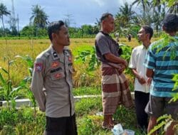 Diversifikasi Pertanian Digalakkan Bhabinkamtibmas Rumak untuk Ketahanan Pangan