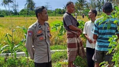 Diversifikasi Pertanian Digalakkan Bhabinkamtibmas Rumak untuk Ketahanan Pangan