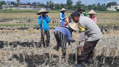 Dampingi Petani, Bhabinkamtibmas Kediri Bangun Ketahanan Pangan dari Akar Rumput