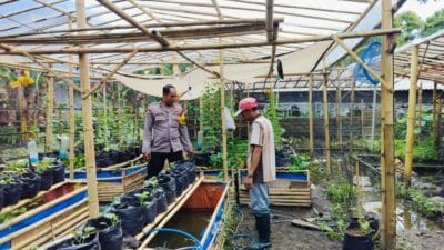 Bhabinkamtibmas Ajak Warga Dusun Tempit Tanam Sayur di Pekarangan Rumah
