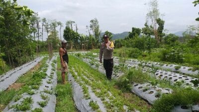 Polisi Bantu Petani di Kuripan Garap Lahan Kosong untuk Tanaman Pangan