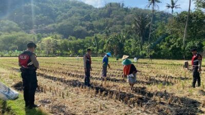 Dukung Ketahanan Pangan, Sat Samapta Sambangi Petani Kebon Ayu