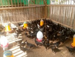 Petani di Kuripan Didorong Polri Manfaatkan Pekarangan untuk Pangan