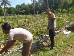 Bhabinkamtibmas Sekotong Motivasi Petani Kelola Lahan untuk Ketahanan Pangan