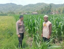 Sosialisasi Ketahanan Pangan di Dusun Pelabu: Polri Ajak Warga Manfaatkan Lahan Produktif