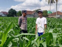 Pendekatan Humanis Polsek Kuripan: Sosialisasi Pangan dan Kamtibmas di Dusun Due Pelet