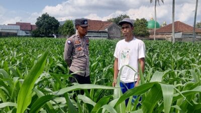 Bhabinkamtibmas Kuripan Ajak Warga Dusun Due Pelet Wujudkan Ketahanan Pangan