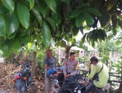 Kolaborasi Polri dan Petani di Lombok Barat Perkuat Fondasi Pangan Lokal