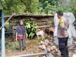 Ketahanan Pangan Dimulai dari Desa: Inisiatif Polisi di Senggigi Lombok Barat