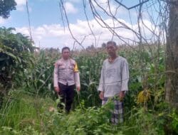 Ketahanan Pangan Jadi Fokus Bhabinkamtibmas Kuripan di Desa Jagaraga