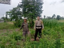 Sinergi Polisi dan Petani di Labuapi: Pemanfaatan Pekarangan untuk Pangan Keluarga