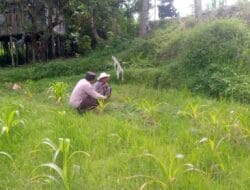 Sinergi Polri dan Petani: Aiptu Gede Dodit Dorong Produktivitas Lahan di Kuripan, Lombok Barat