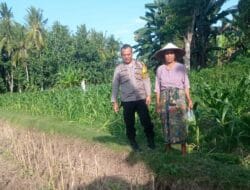 Sinergi Polisi dan Petani, Desa Kuranji Perkuat Ketahanan Pangan Keluarga