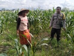 Sinergi Polisi dan Warga Karang Kebon untuk Kemandirian Pangan Lokal