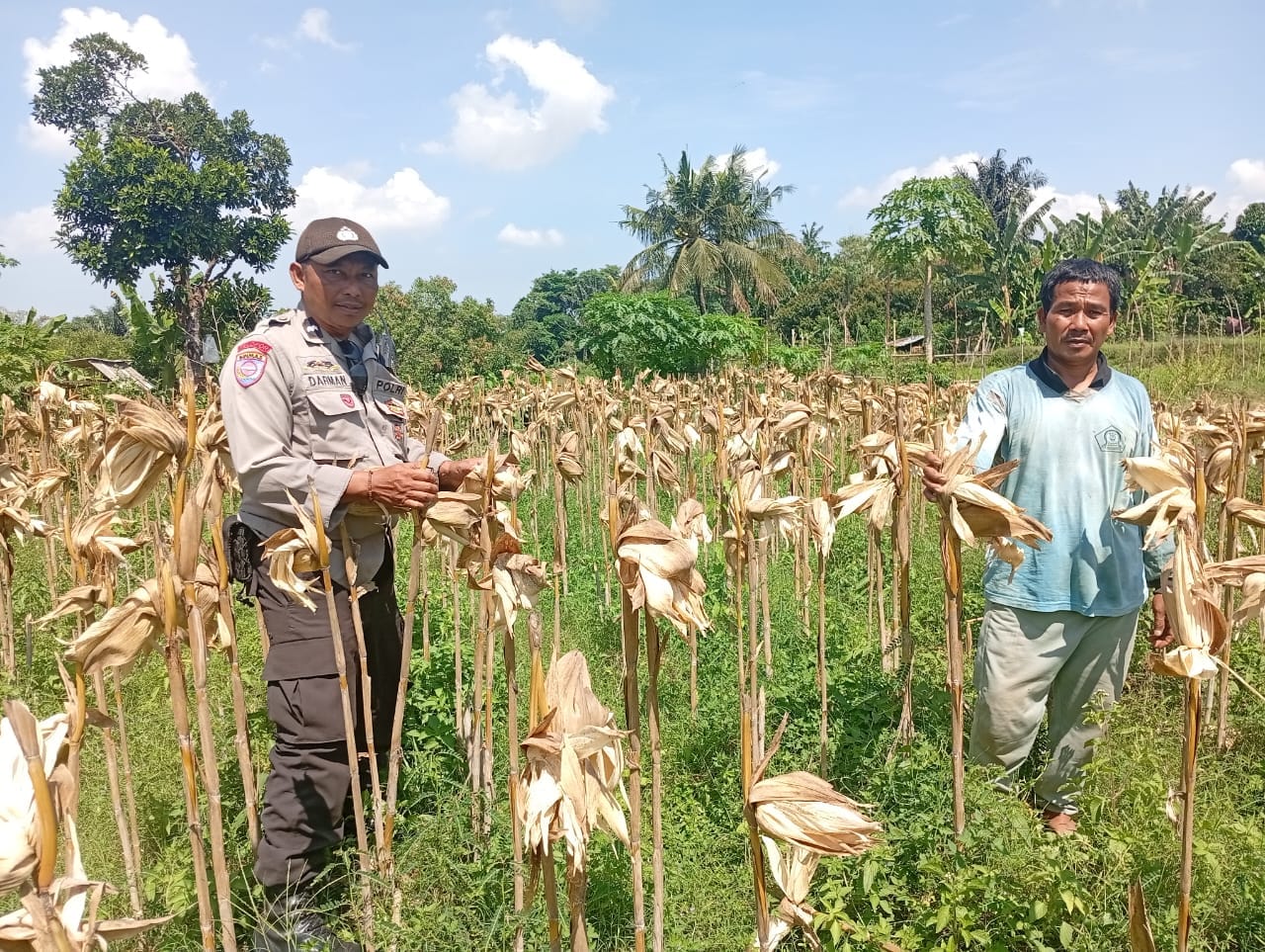 Situasi Desa Merembu Kondusif, Polisi Ajak Warga Fokus pada Kemandirian Pangan