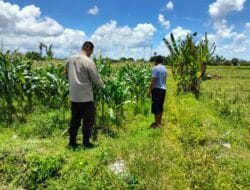 Sinergi Polri dan Warga Desa Labuapi dalam Membangun Swasembada Pangan