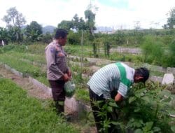 Polri Bersama Petani Dusun Tegal Dorong Perekonomian Desa Jagaraga Melalui Kemandirian Pangan