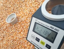 Bulog NTB Soroti Jalan Terjal Desa Kedaro sebagai Tantangan Penyerapan Jagung