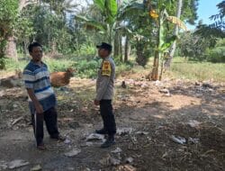 Ketahanan Pangan Keluarga: Bhabinkamtibmas Sekotong Galakkan Tanam Jagung di Pekarangan