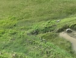 KKB Bakar SMP Negeri Kiwirok, Satgas Ops Damai Cartenz Amankan Desa Sekitar