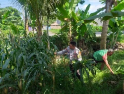 Petani Tambang Eleh Dukung Polri, Lahan Kosong Siap Ditanami Jagung