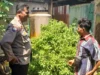Polri Dukung Ketahanan Pangan, Bhabinkamtibmas Ajak Warga Tanam Komoditas