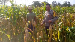 Kapolsek Kuripan: Ketahanan Pangan Harus Dimulai dari Desa