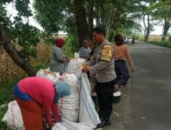 Panen Jagung di Dasan Geres Berhasil Besar, Polri Pastikan Keamanan Tanpa Hambatan