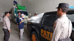 Jagung Petani Gerung Lolos Standar Bulog, Harga Aman dan Stabil