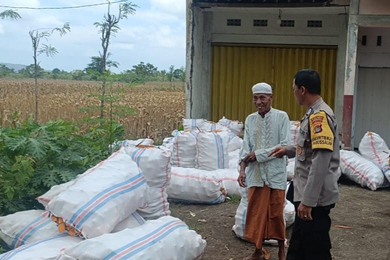 Jagung Melimpah, Polri Dukung Ketahanan Pangan di Lombok Barat