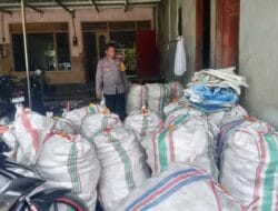 Perhatian Polri untuk Petani: Jagung Beleka Dipastikan Siap Serap BULOG