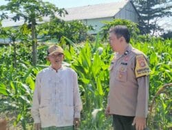 Demi Kemandirian Pangan, Polsek Labuapi Edukasi Warga Desa