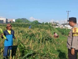 Polri Dukung Ketahanan Pangan, Bhabinkamtibmas Labuapi Edukasi Warga Manfaatkan Lahan Kosong