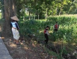 Hadapi Cuaca Ekstrem, Polri Perkuat Pengawasan Pertanian Jagung