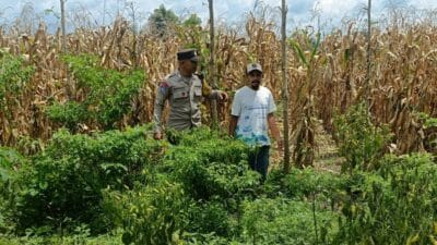 Langkah Praksis Polsek Gerung: Edukasi Pemanfaatan Lahan Kosong