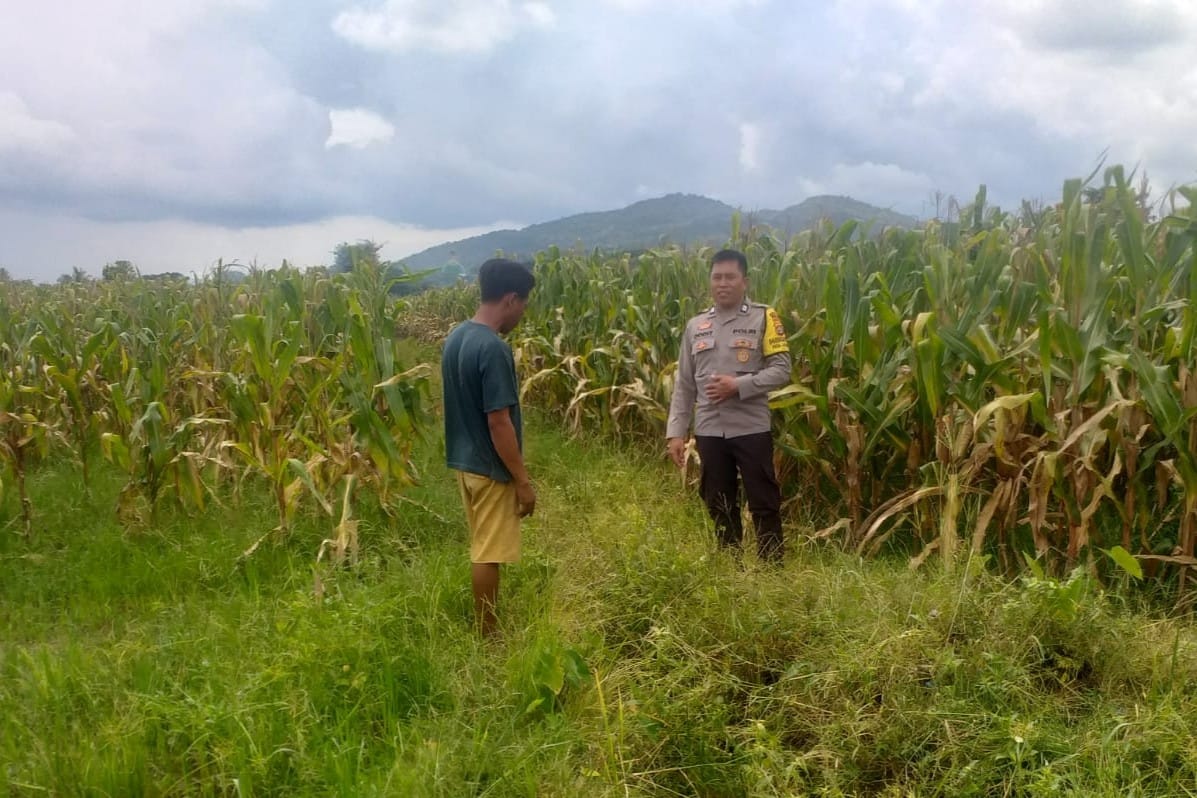 Sinergi Polri dan Warga Wujudkan Kemandirian Pangan di Lombok Barat