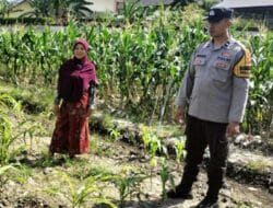 Langkah Nyata Polsek Labuapi Dukung Ketahanan Pangan Keluarga