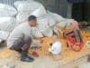 Sinergi Polri dan Petani Jaga Ketahanan Pangan NTB