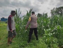 Langkah Konkret Bhabinkamtibmas Lombok Barat Wujudkan Kemandirian Pangan Desa