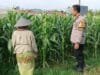 Bhabinkamtibmas Labuapi Gandeng Petani Jagung, Perkuat Fondasi Ketahanan Pangan