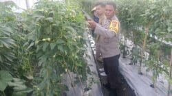 Kuatkan Ketahanan Pangan, P4S Lombok Barat Dorong Kompetensi Petani