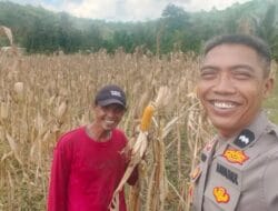 Peran Bhabinkamtibmas Lombok Barat Dorong Produktivitas Pertanian
