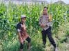 Bhabinkamtibmas Labuapi Dorong Produktivitas Jagung
