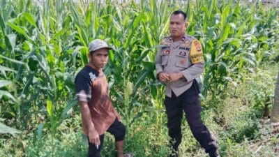 Polsek Labuapi Motivasi Petani di Desa Bagik Polak